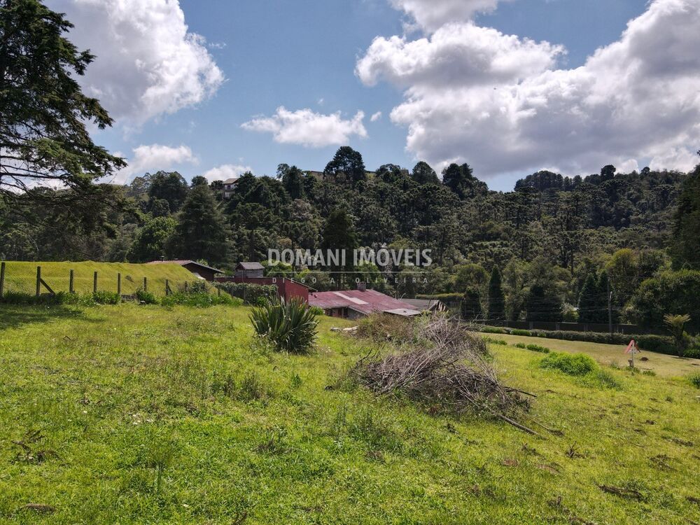Terreno, 1330 m² - Foto 4