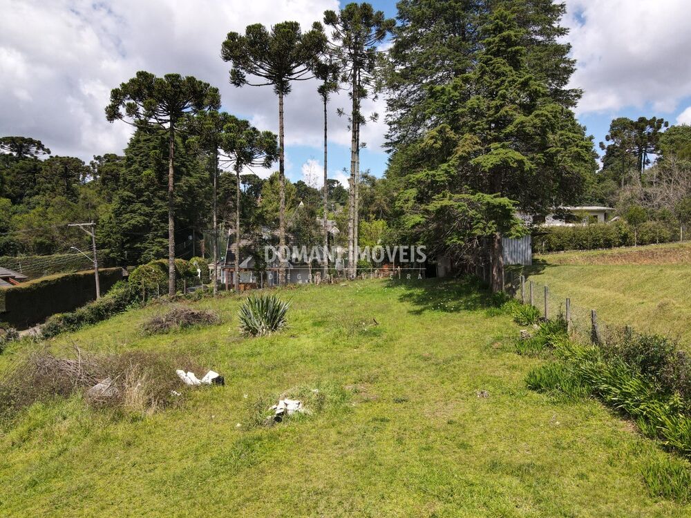 Terreno, 1330 m² - Foto 2