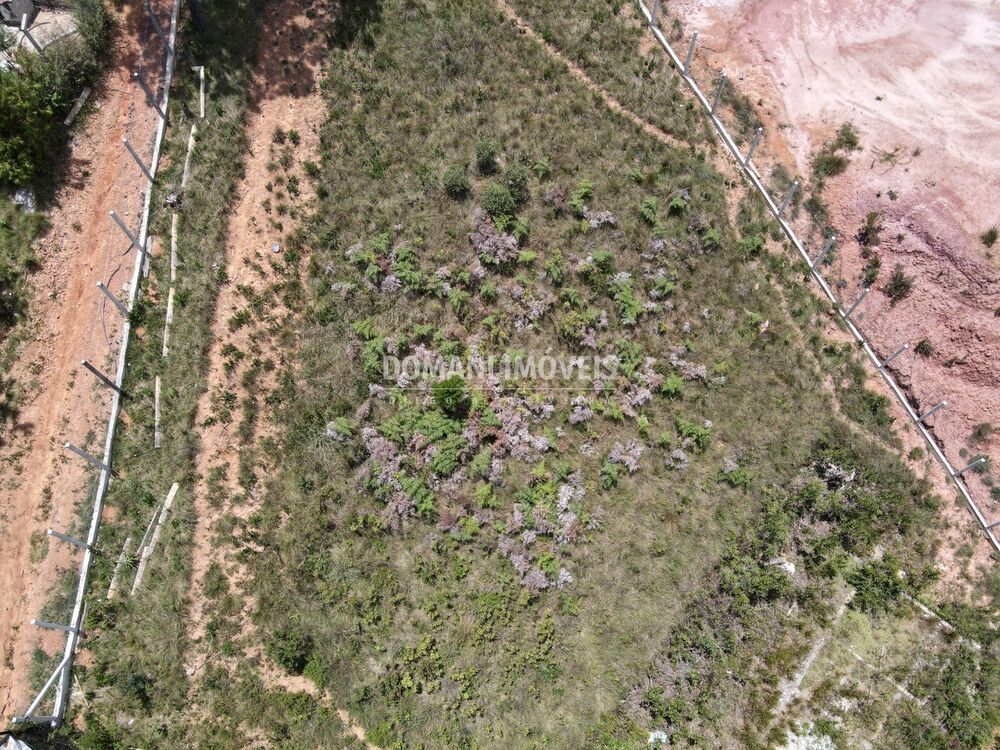 Terreno, 1350 m² - Foto 7