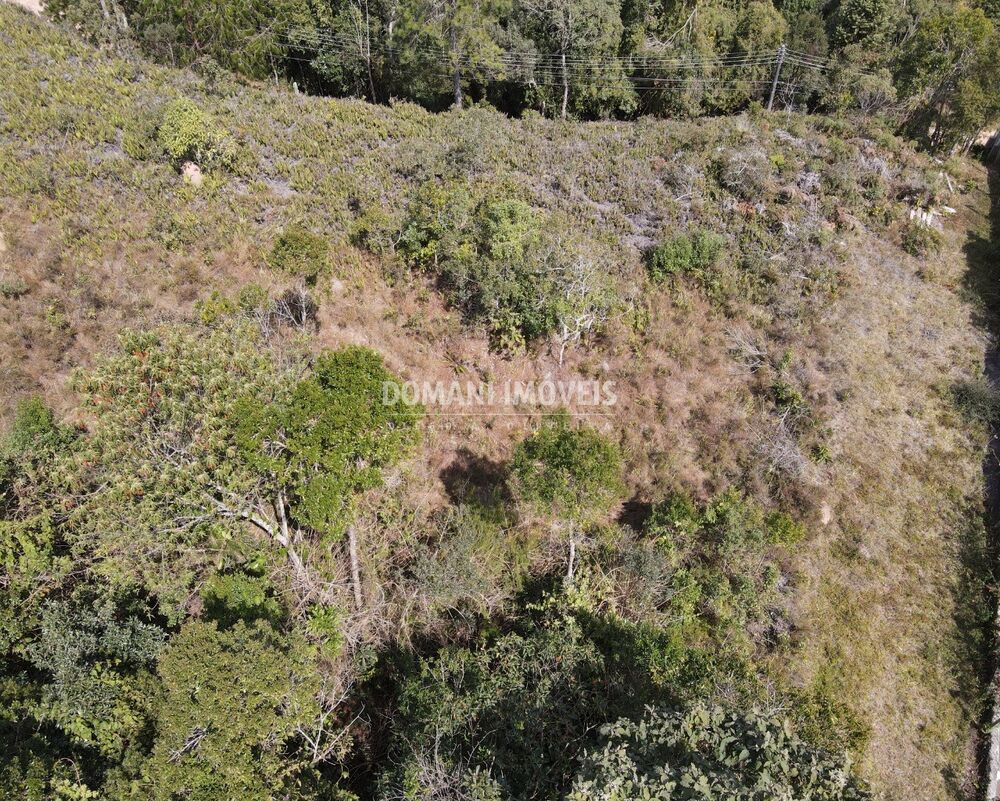 Terreno, 6650 m² - Foto 4