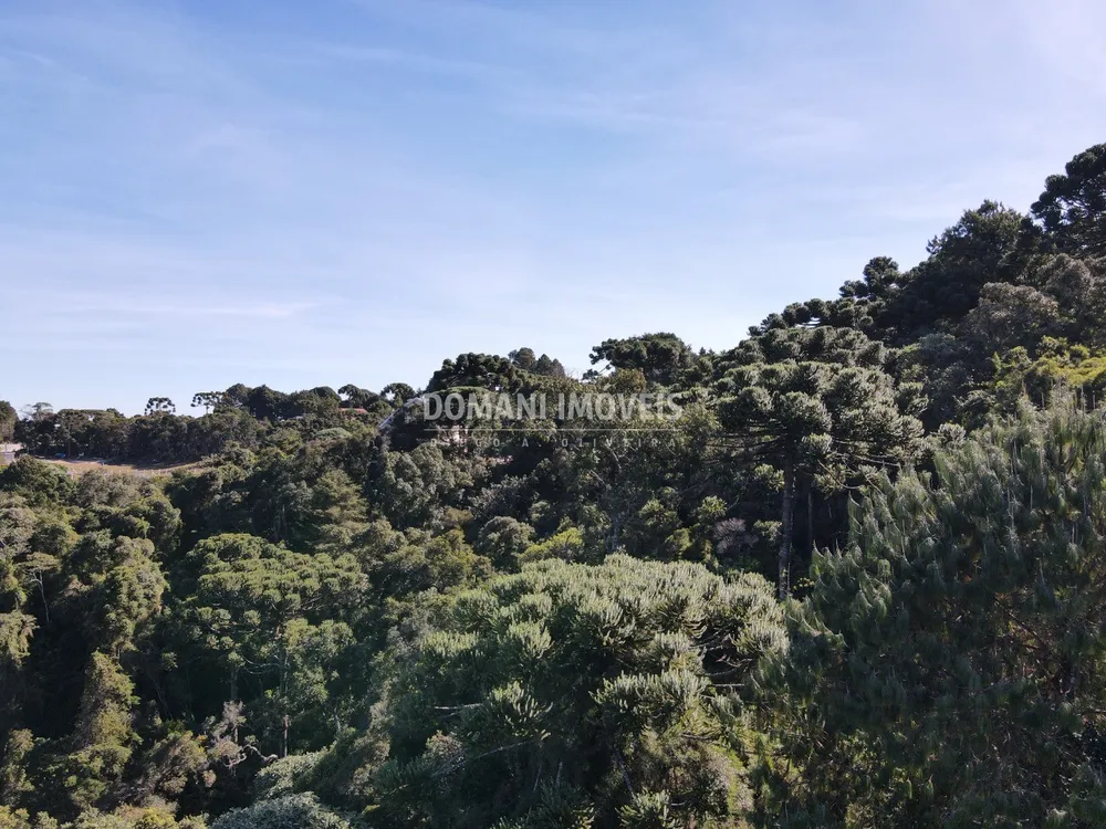 Terreno, 4300 m² - Foto 3