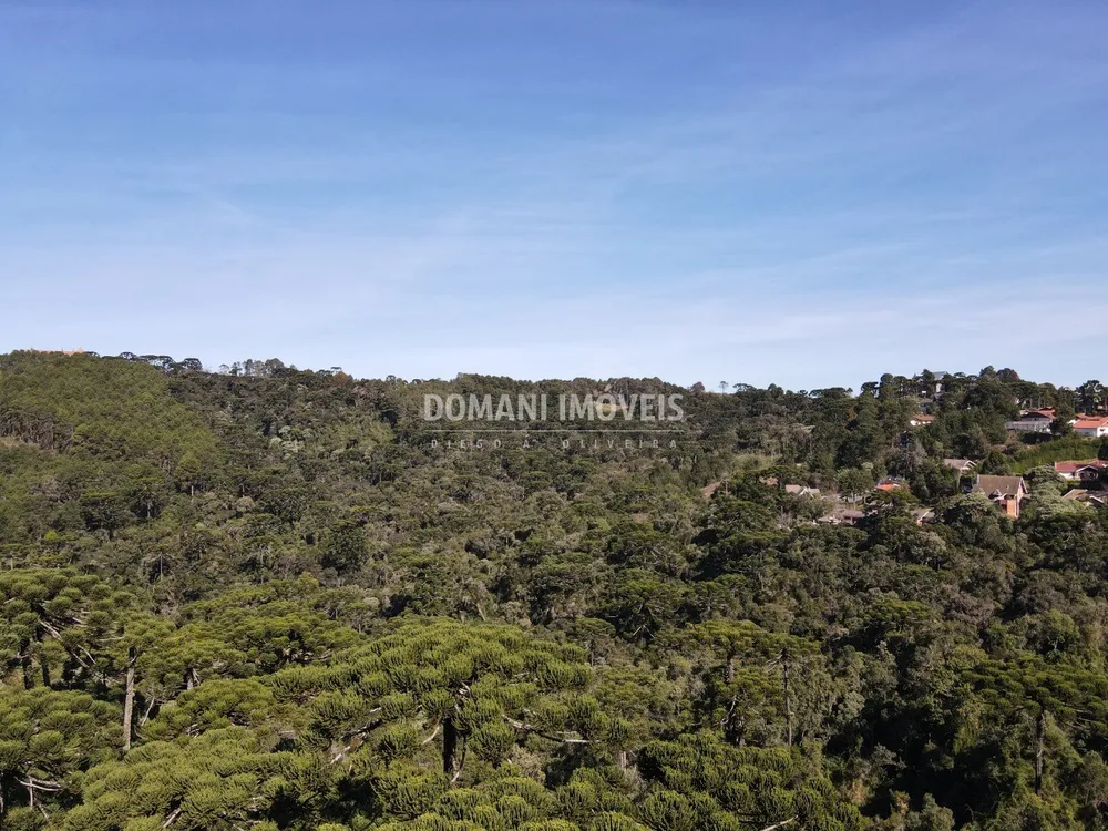Terreno, 4300 m² - Foto 7