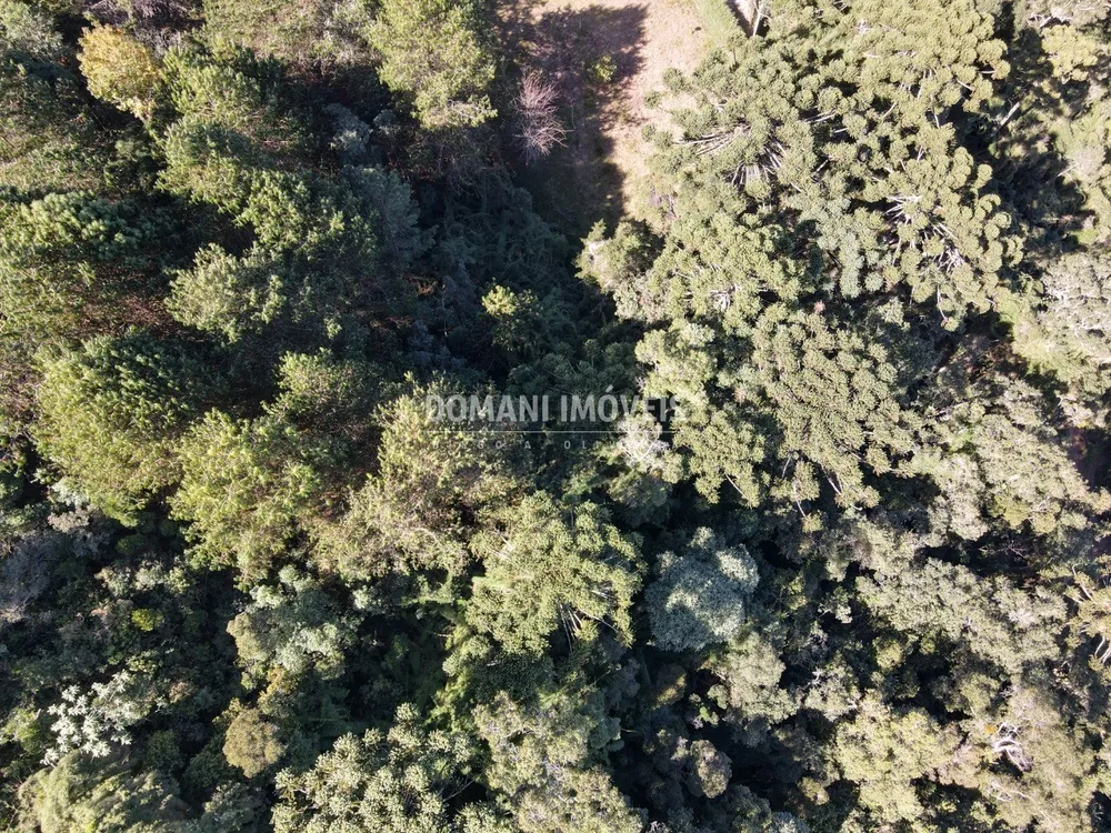 Terreno, 4300 m² - Foto 4