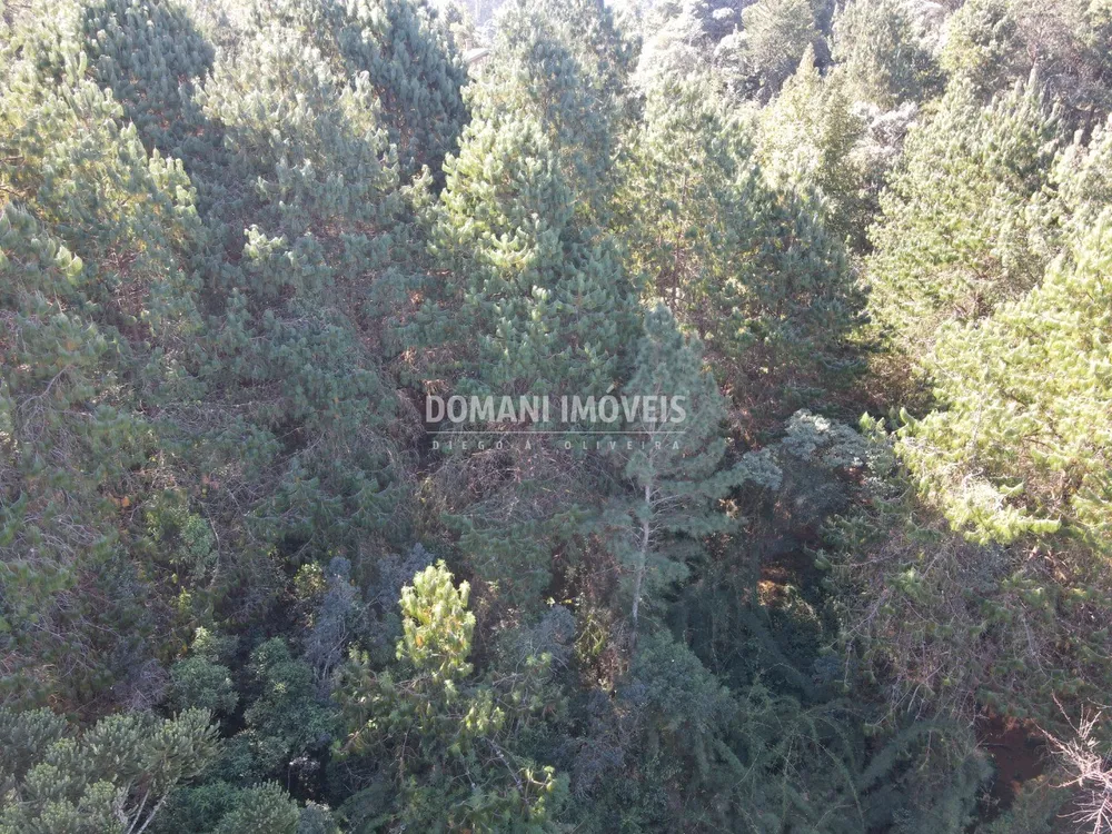 Terreno, 4300 m² - Foto 5