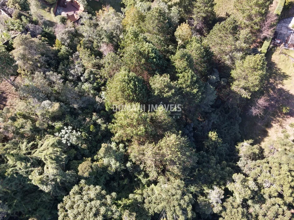 Terreno, 4300 m² - Foto 8