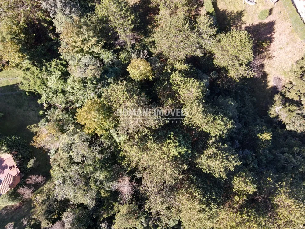 Terreno, 4300 m² - Foto 2