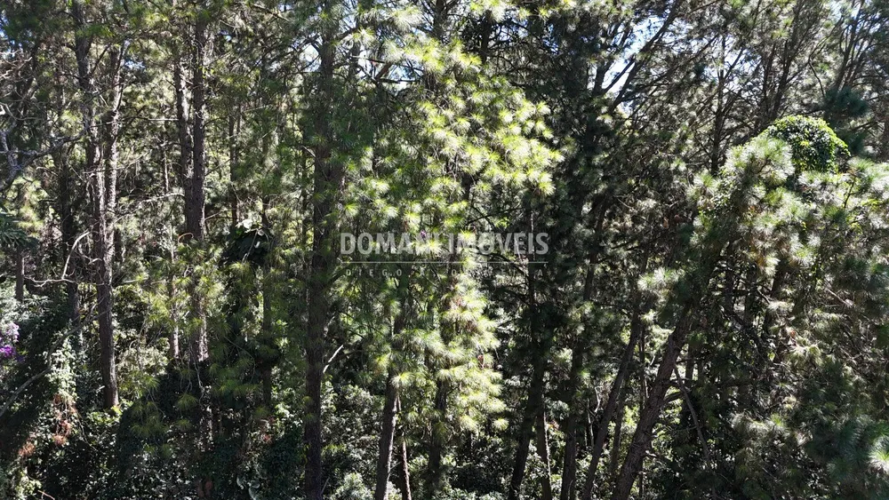 Terreno, 1550 m² - Foto 4