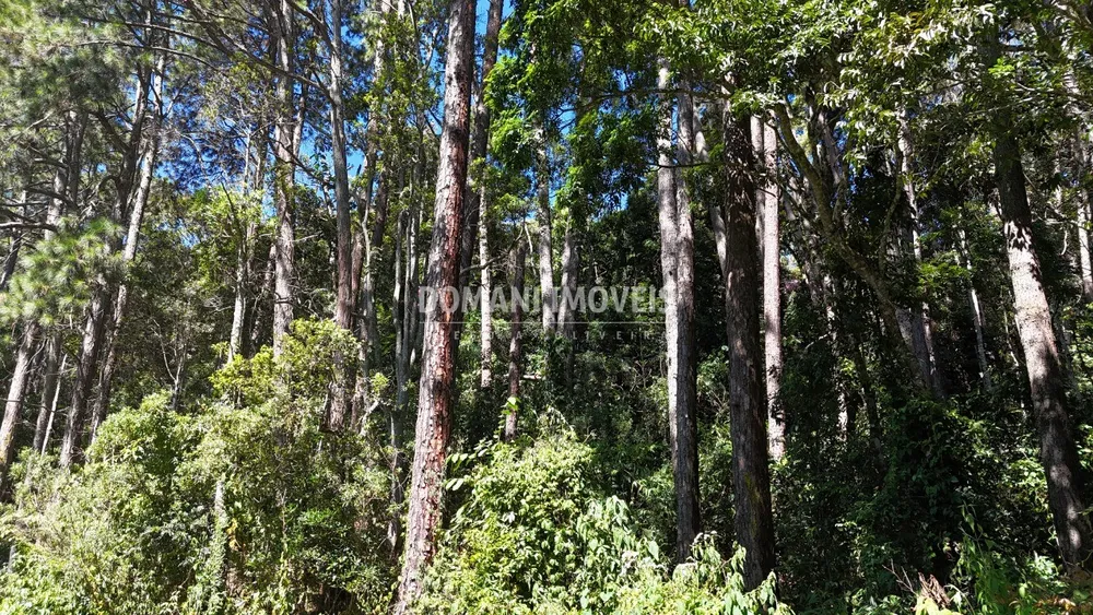 Terreno, 1550 m² - Foto 6