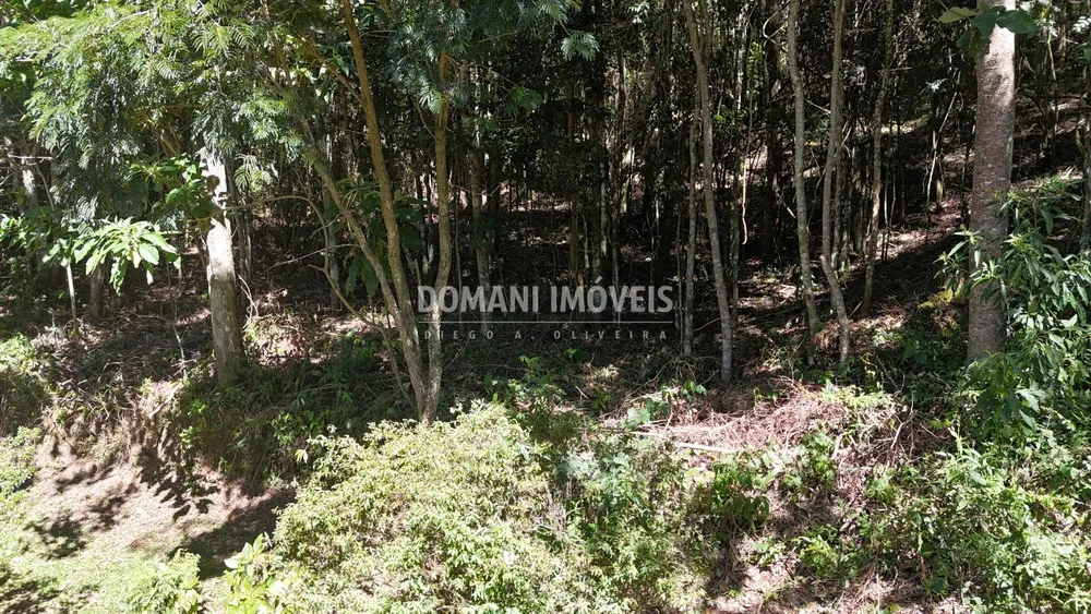 Terreno, 1550 m² - Foto 7