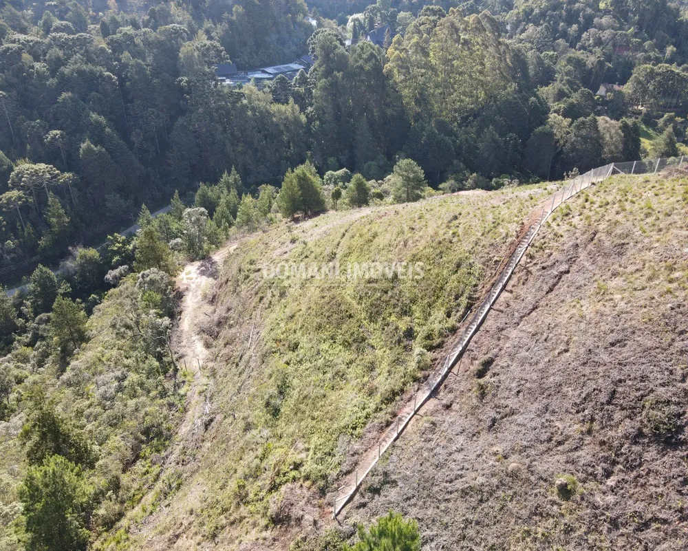 Terreno, 2420 m² - Foto 5
