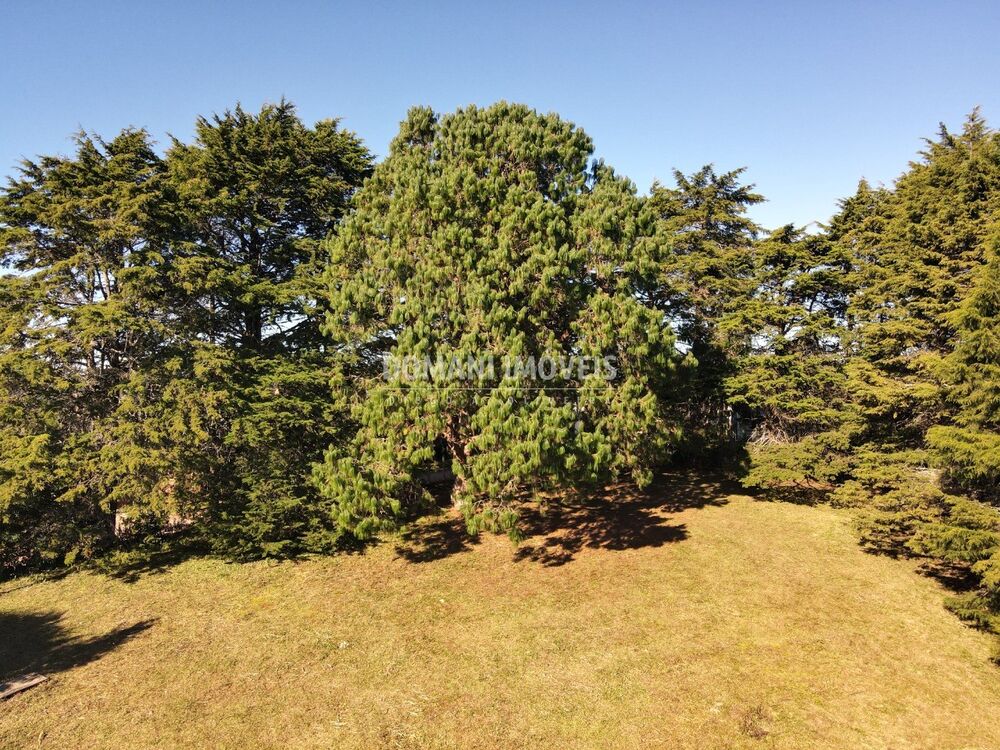 Terreno, 1170 m² - Foto 1