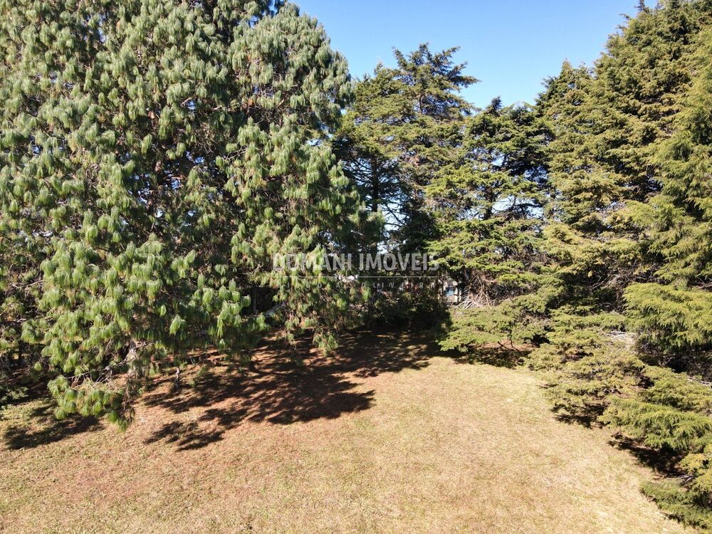 Terreno, 1170 m² - Foto 2