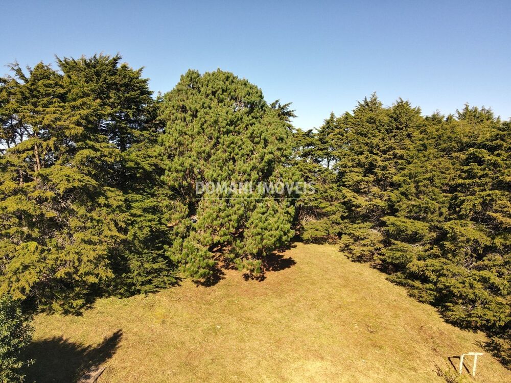 Terreno, 1170 m² - Foto 3