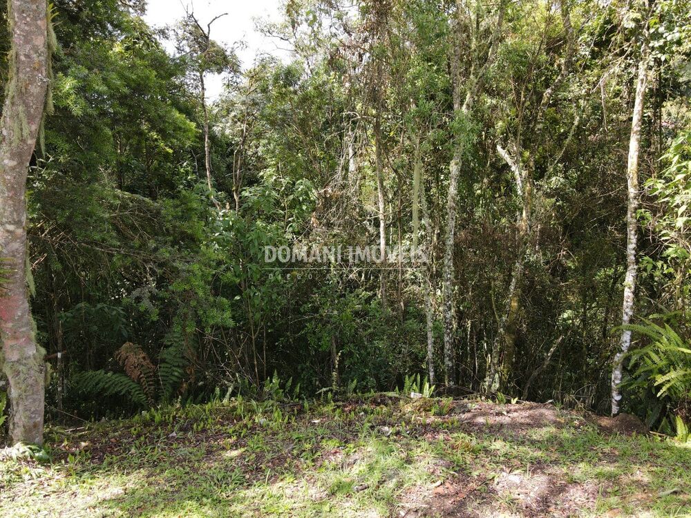 Terreno, 1120 m² - Foto 1