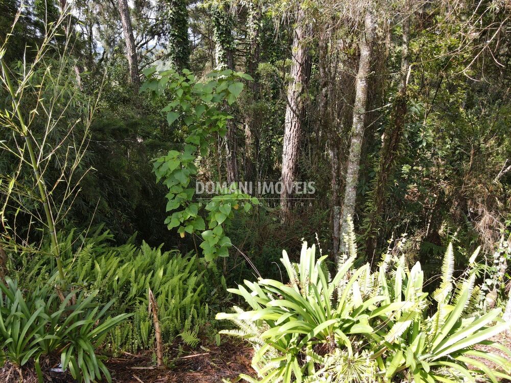 Terreno, 1120 m² - Foto 7