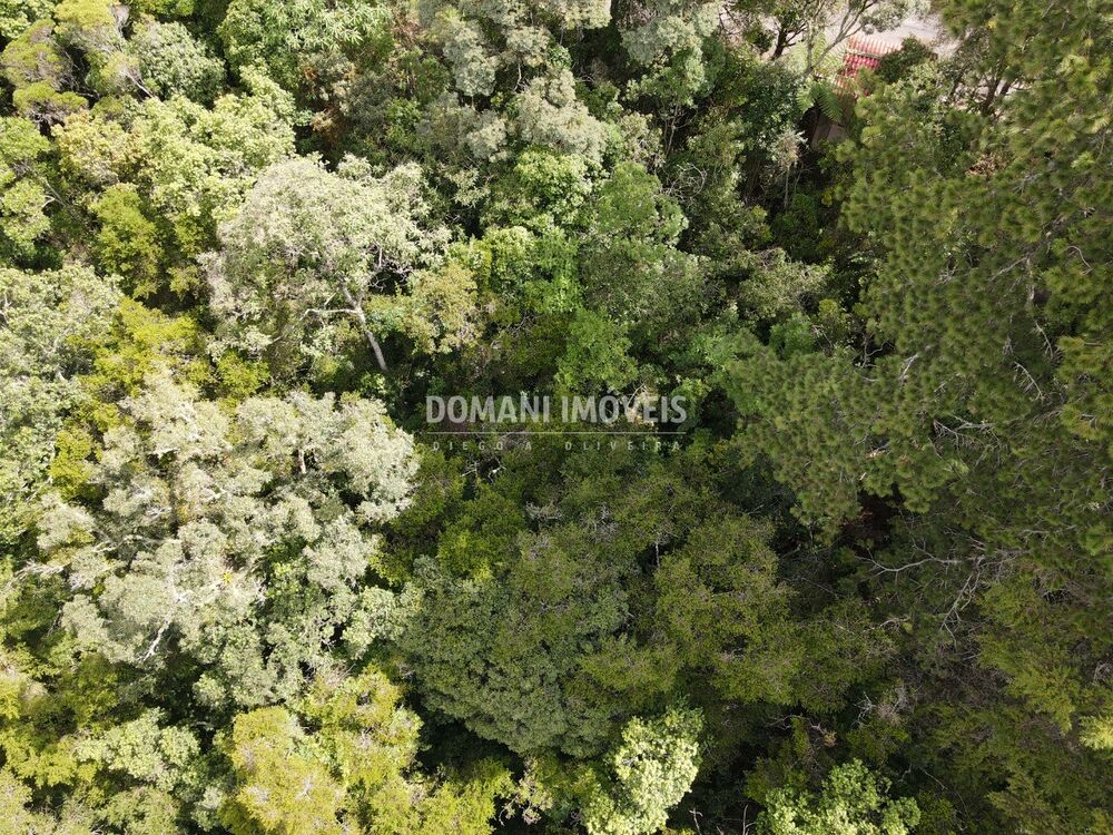 Terreno, 1120 m² - Foto 8