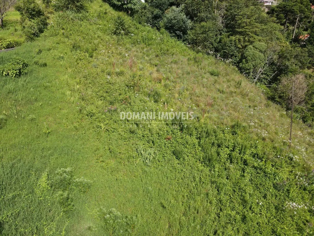 Terreno, 1350 m² - Foto 3