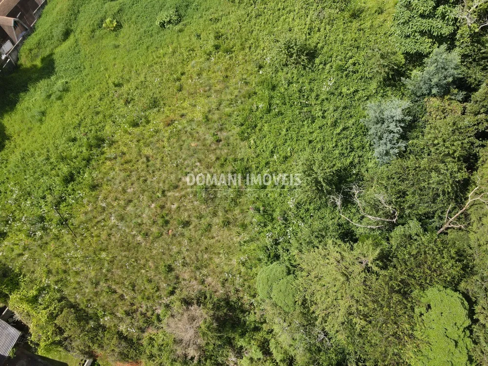 Terreno, 1350 m² - Foto 2