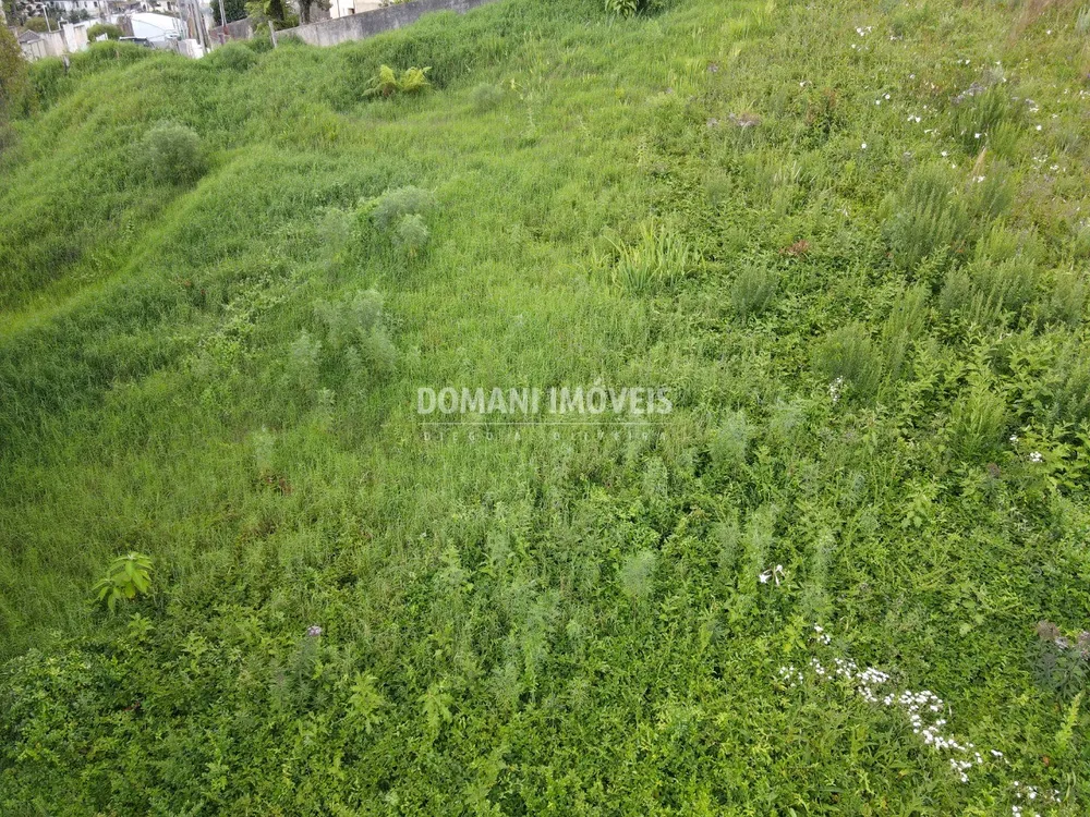 Terreno, 1350 m² - Foto 8