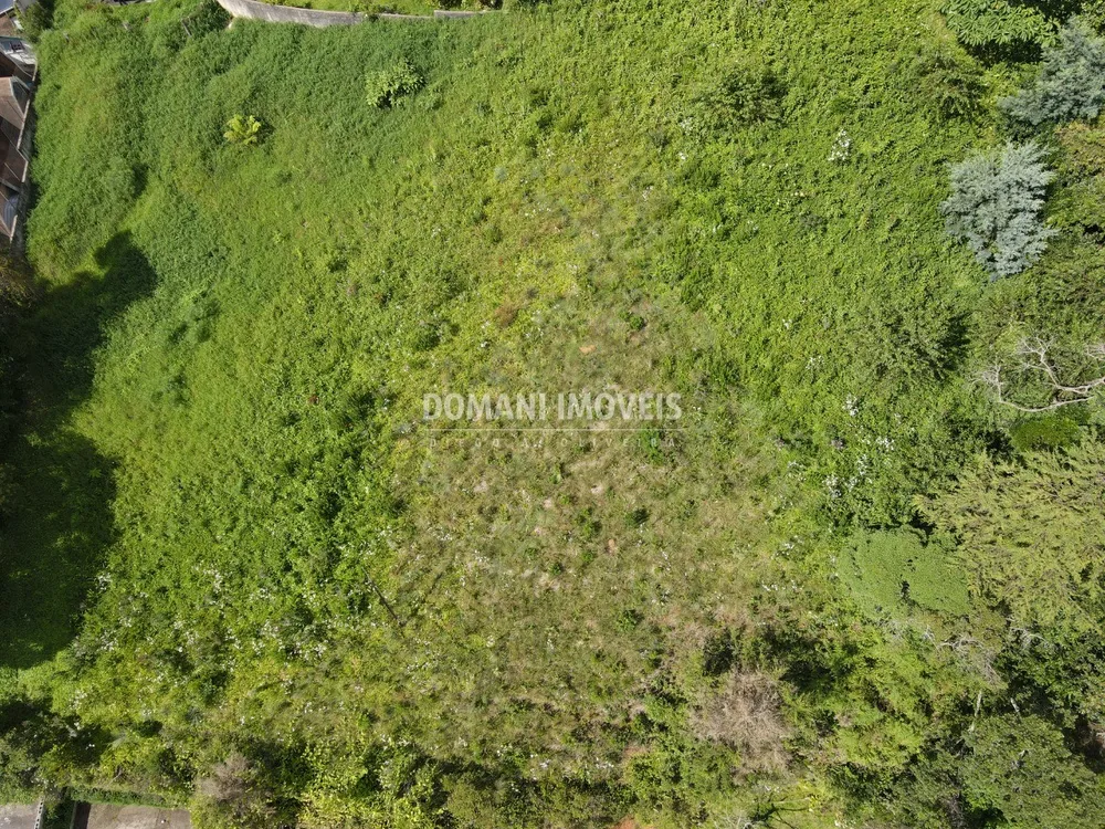 Terreno, 1350 m² - Foto 7