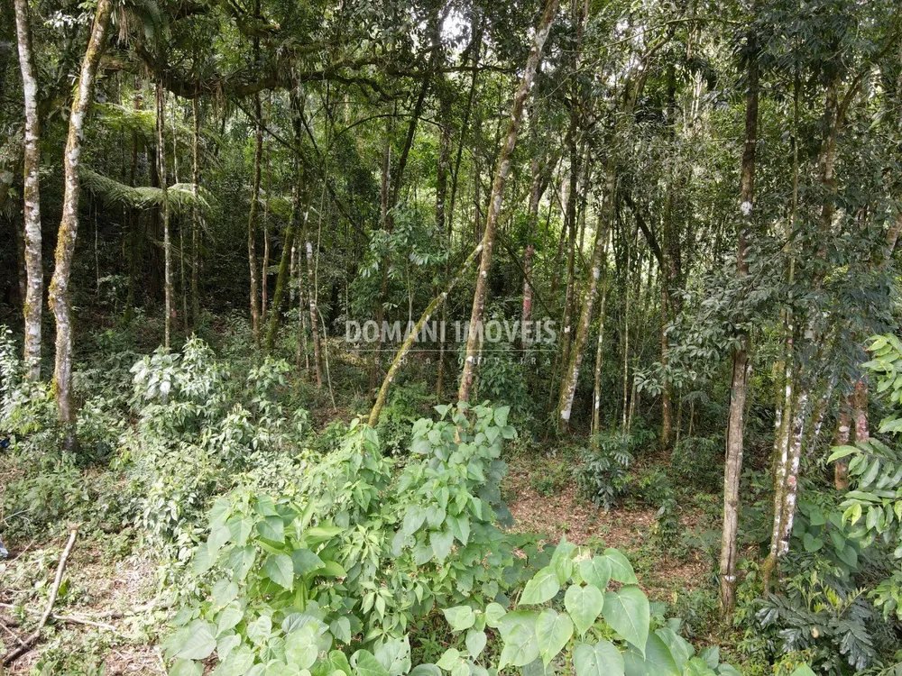 Terreno, 1130 m² - Foto 4