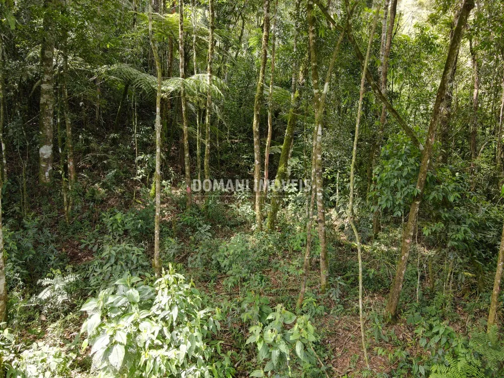 Terreno, 1130 m² - Foto 1