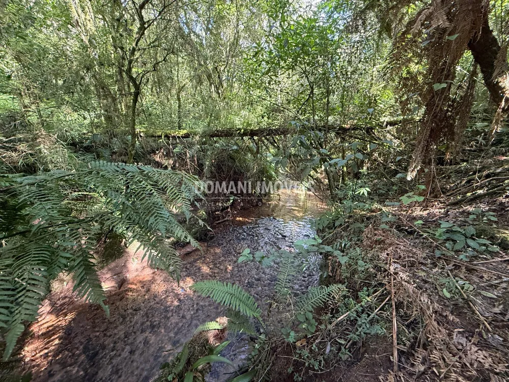 Terreno, 2500 m² - Foto 5