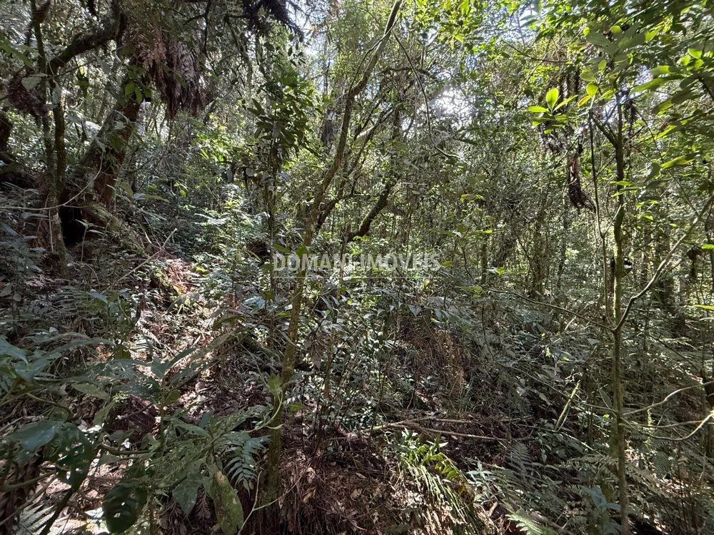 Terreno, 2500 m² - Foto 6