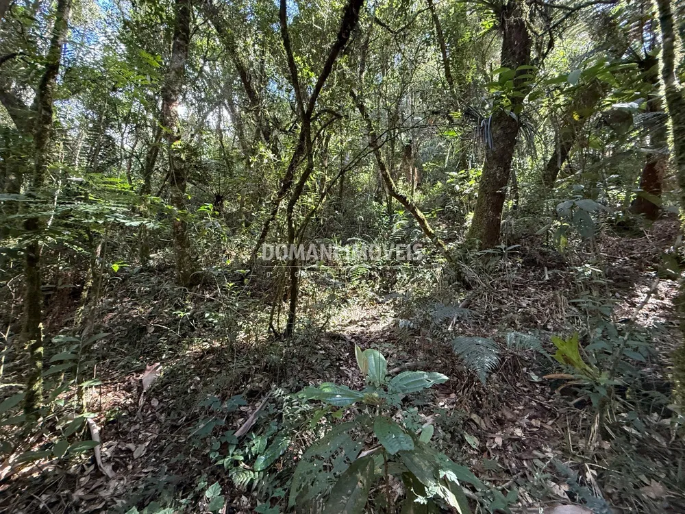 Terreno, 2500 m² - Foto 7