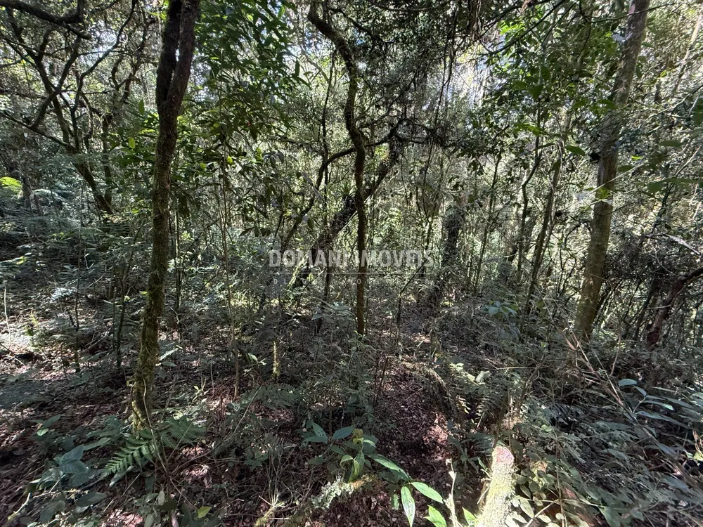 Terreno, 2500 m² - Foto 4