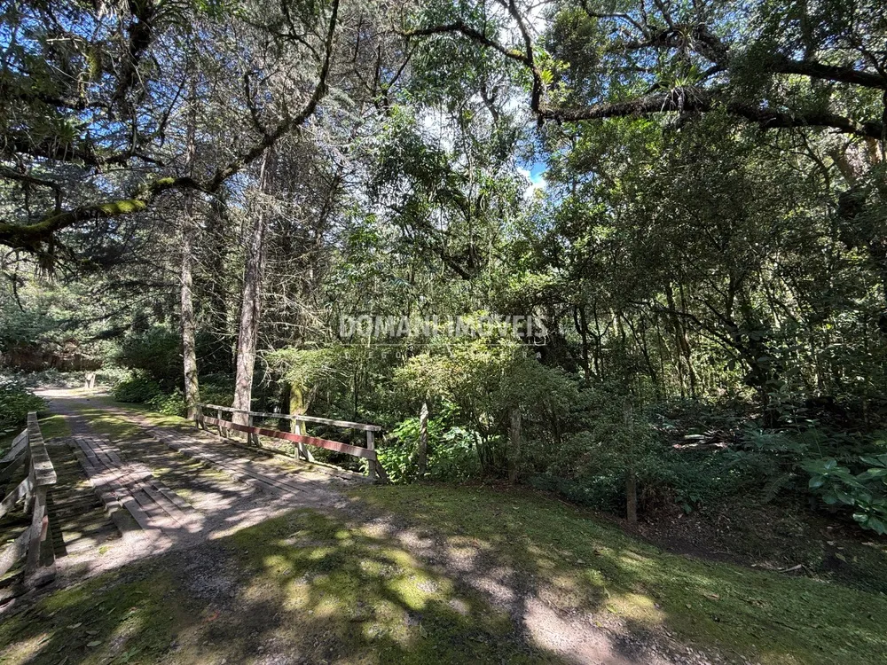 Terreno, 2500 m² - Foto 3