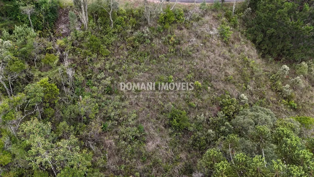 Terreno, 1250 m² - Foto 6