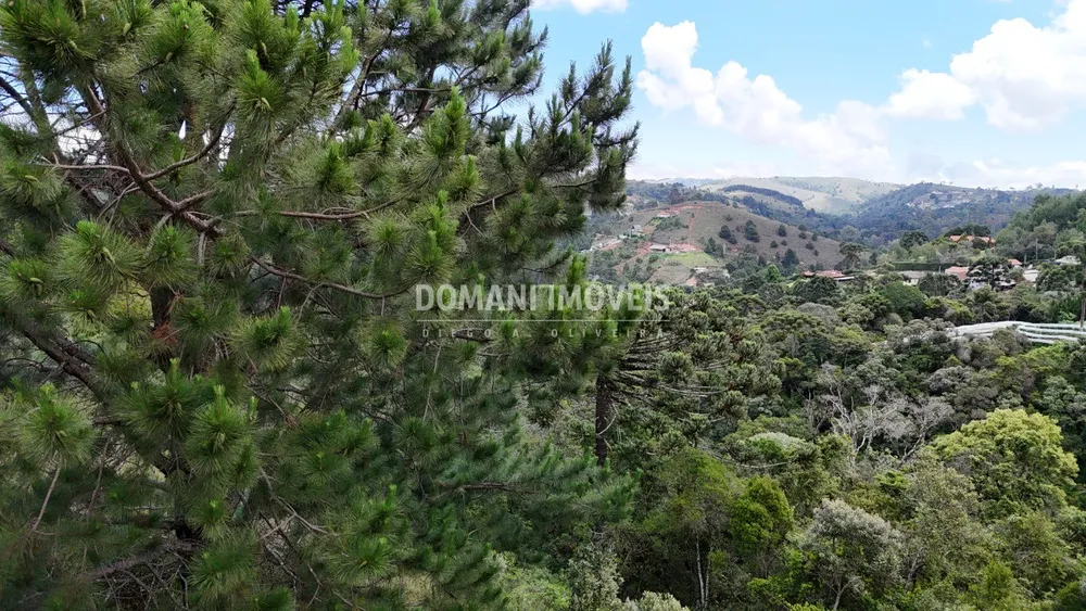 Terreno, 1250 m² - Foto 5