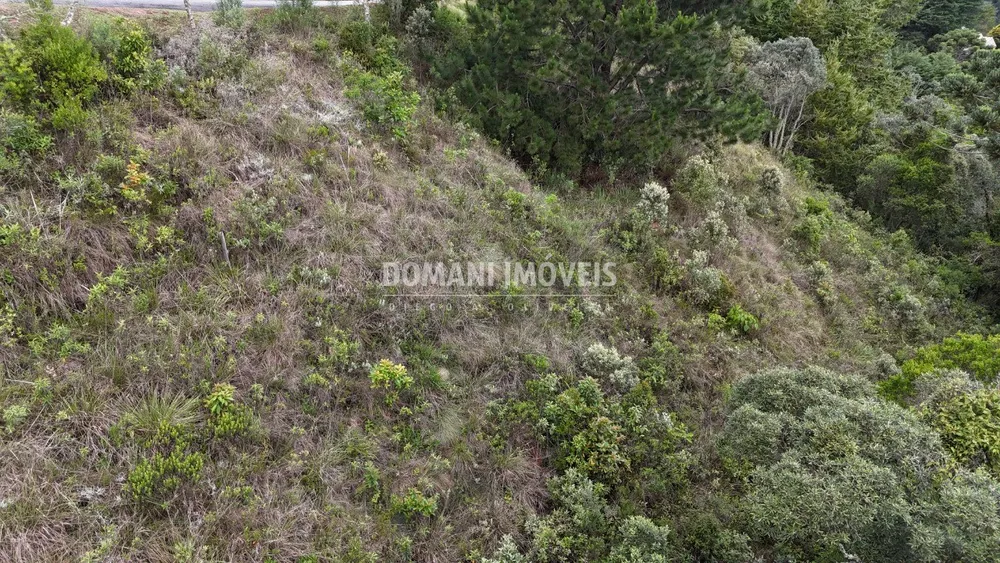 Terreno, 1250 m² - Foto 2