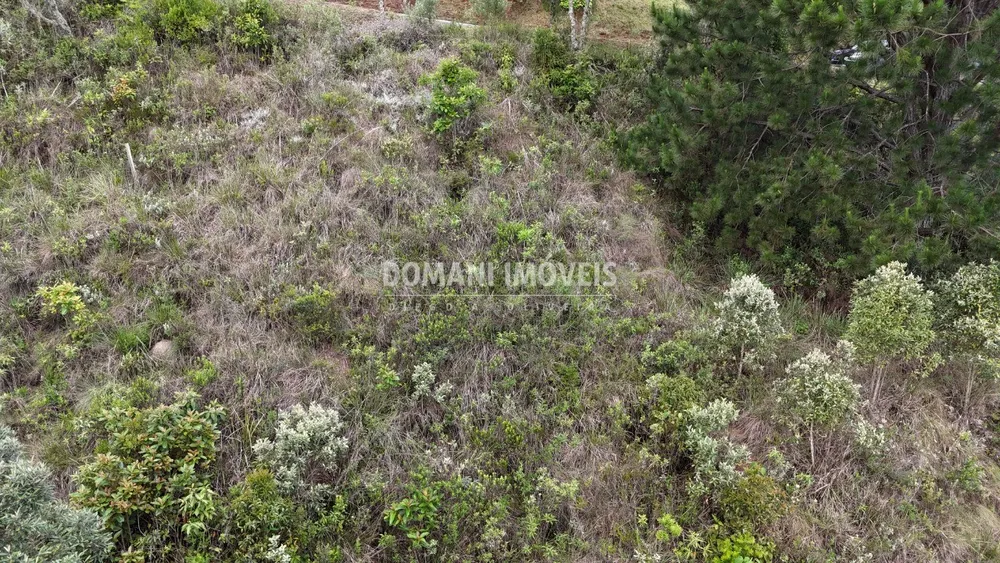 Terreno, 1250 m² - Foto 4