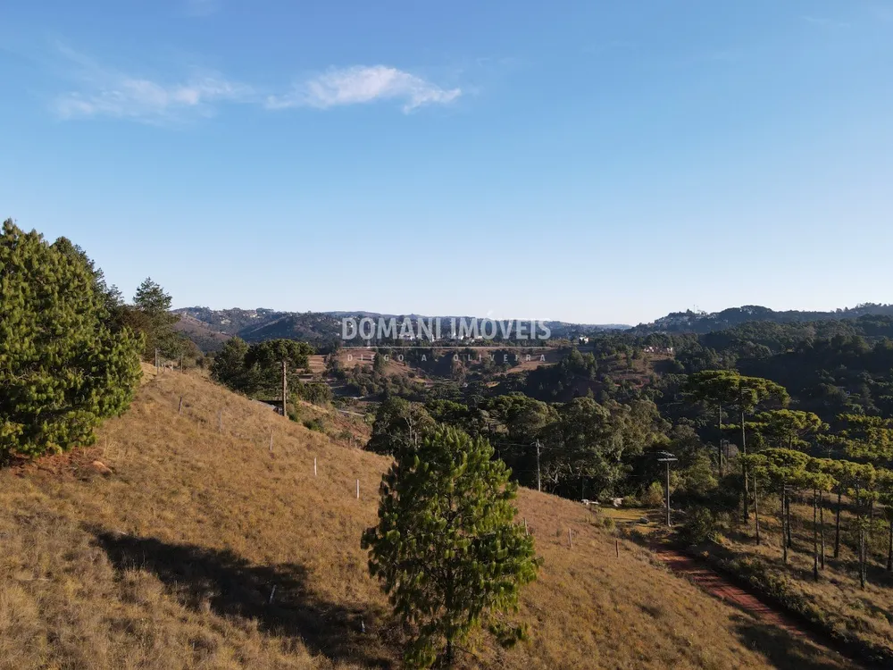 Terreno, 1250 m² - Foto 5