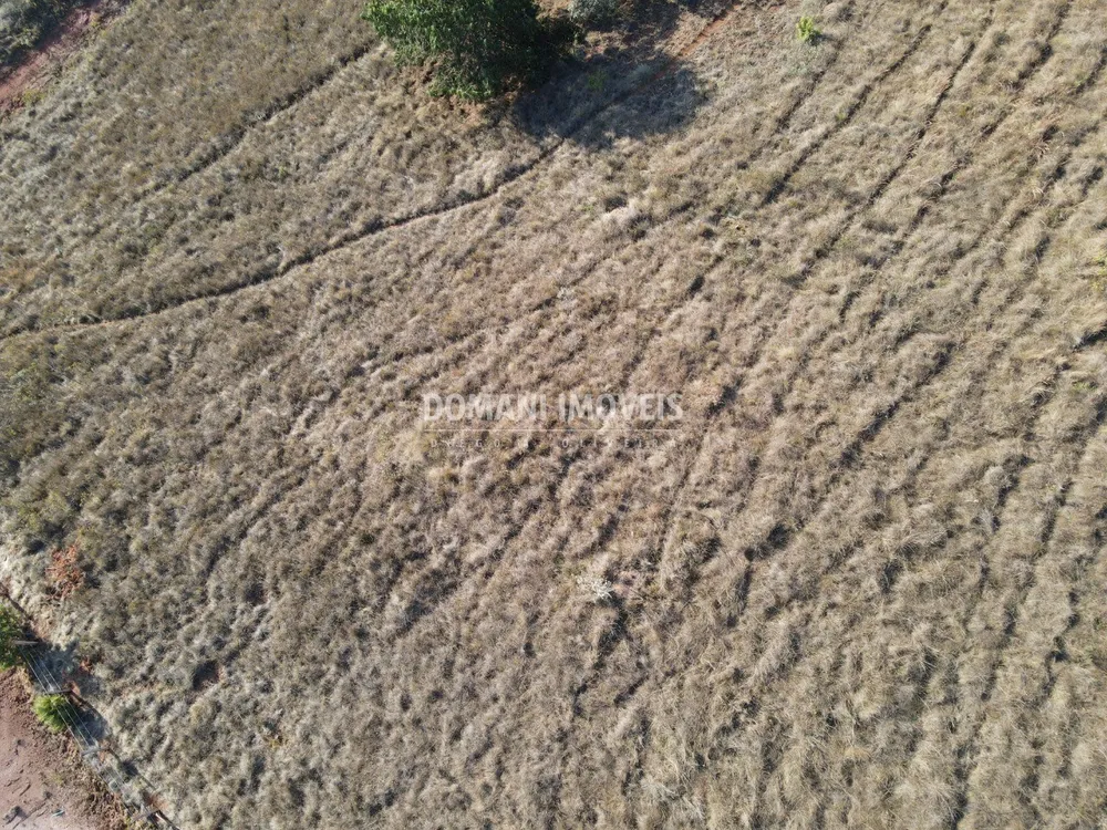 Terreno, 1250 m² - Foto 8