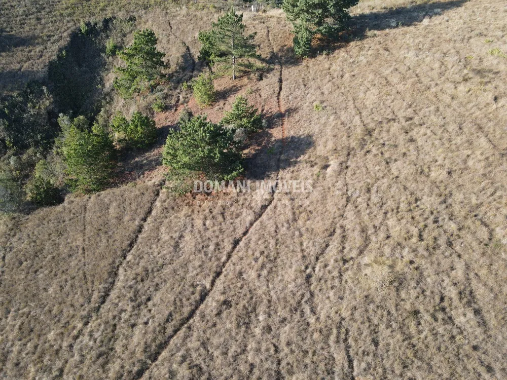 Terreno, 1250 m² - Foto 2