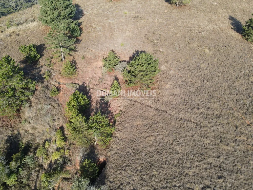 Terreno, 1250 m² - Foto 4