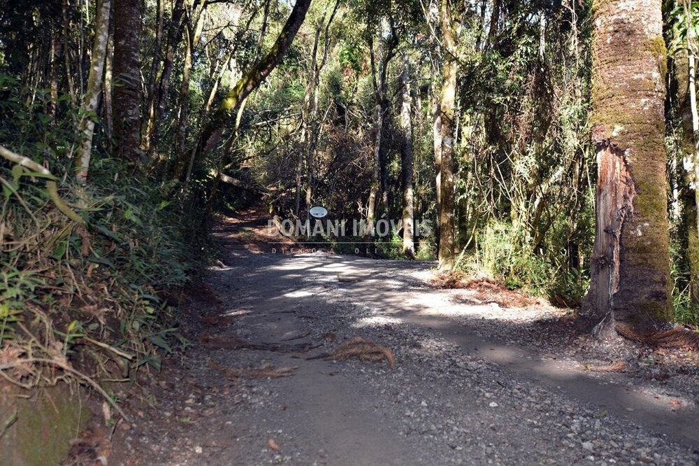 Terreno, 1200 m² - Foto 6