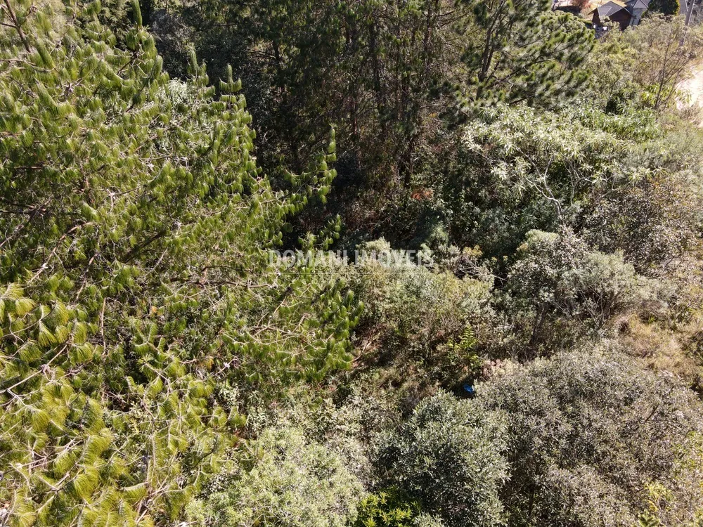Terreno, 1050 m² - Foto 9