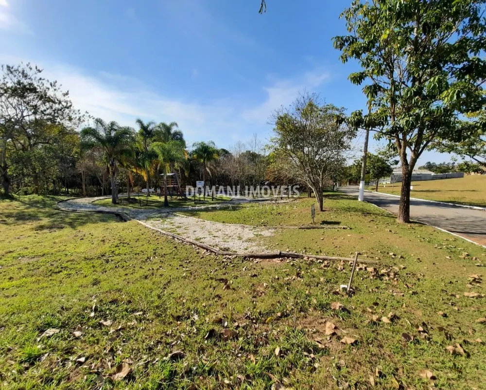 Terreno, 1003 m² - Foto 5