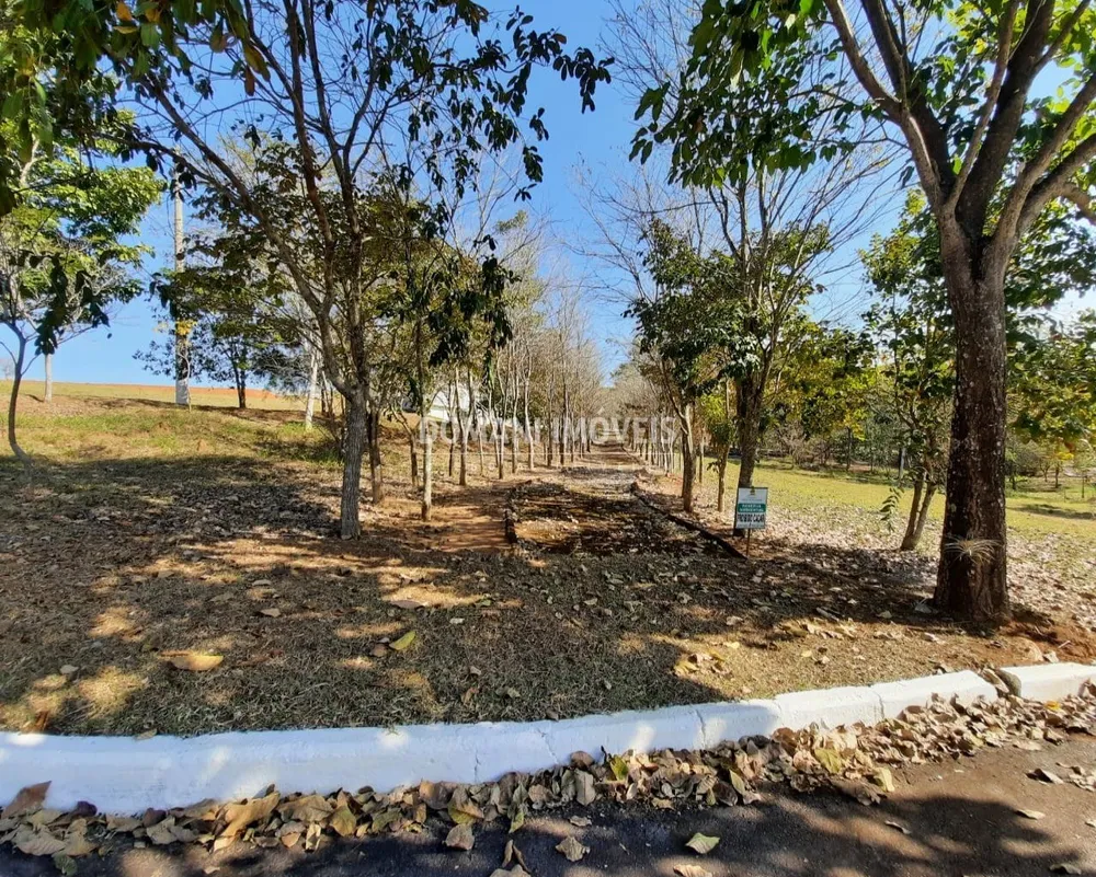 Terreno, 1003 m² - Foto 8