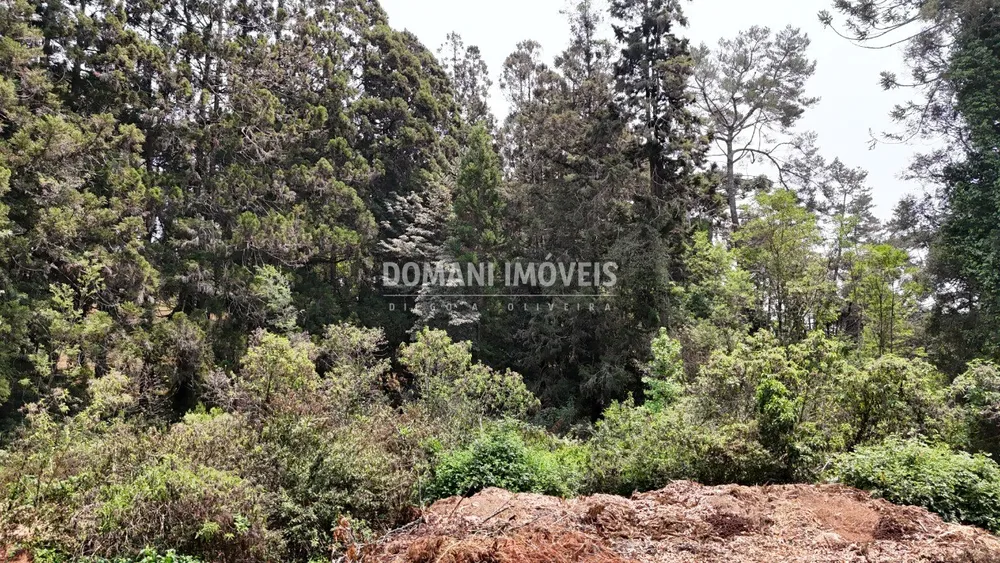Terreno - Foto 4