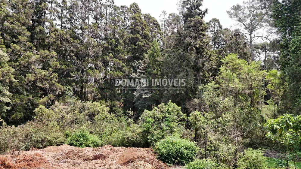 Terreno - Foto 2