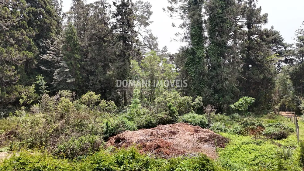Terreno - Foto 1