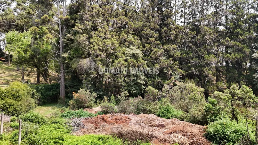 Terreno - Foto 3