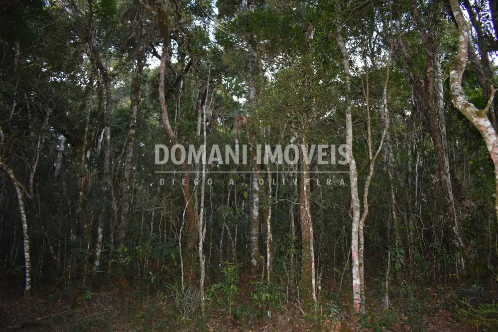 Terreno, 1100 m² - Foto 5