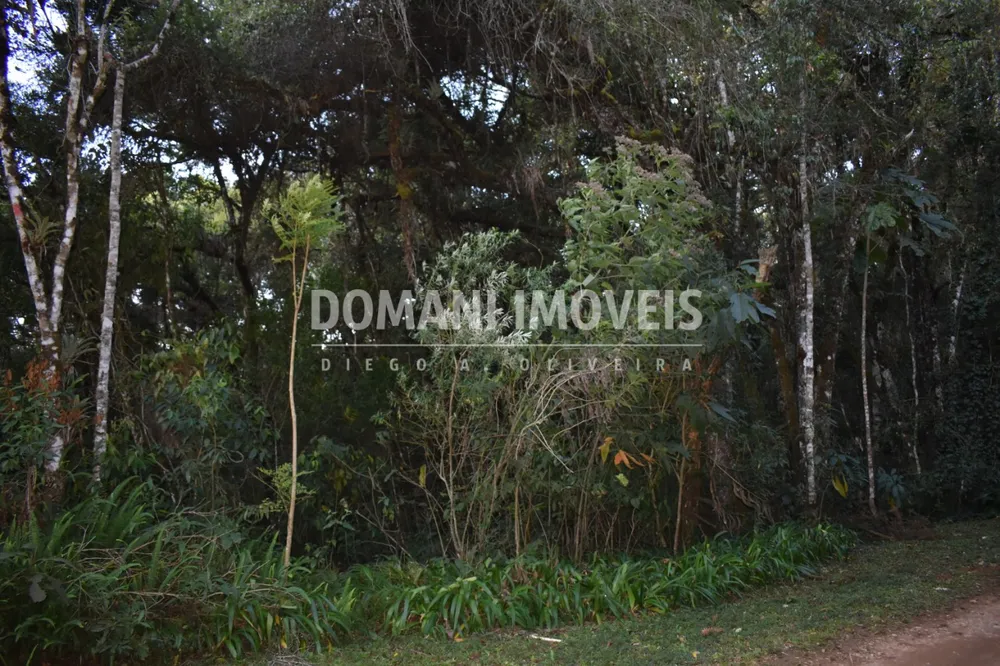 Terreno, 1100 m² - Foto 4