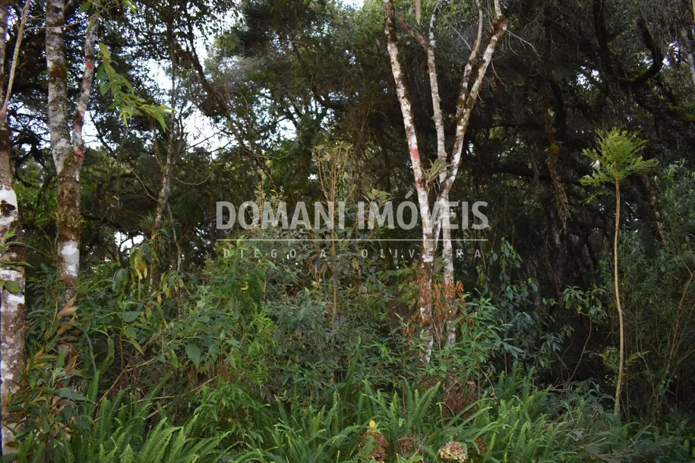 Terreno, 1100 m² - Foto 6
